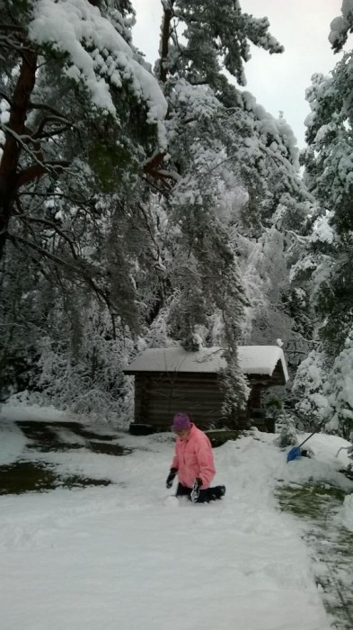 IMG-20151121-WA0002[1]